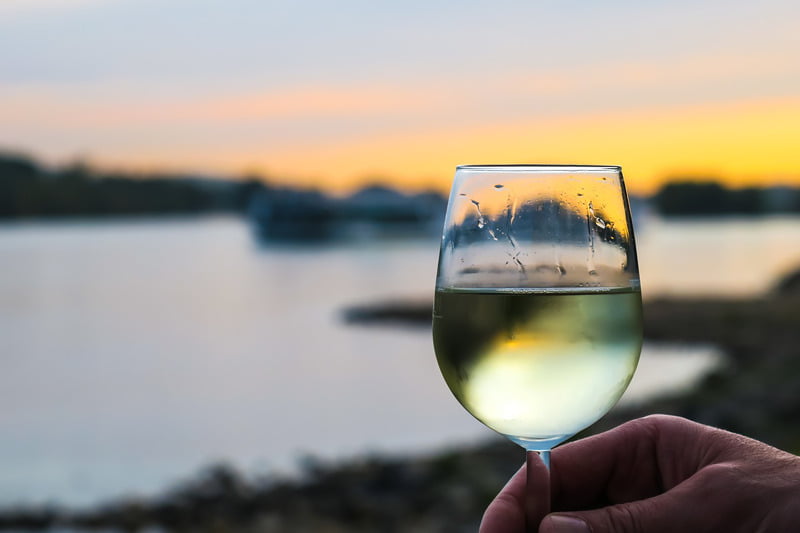 Should Sauvignon Blanc Wine Be Chilled?