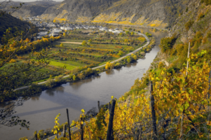 Wine Holidays - Mosel Wine Region Landscape