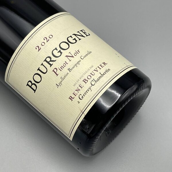 René Bouvier Bourgogne Pinot Noir 2020-saghi