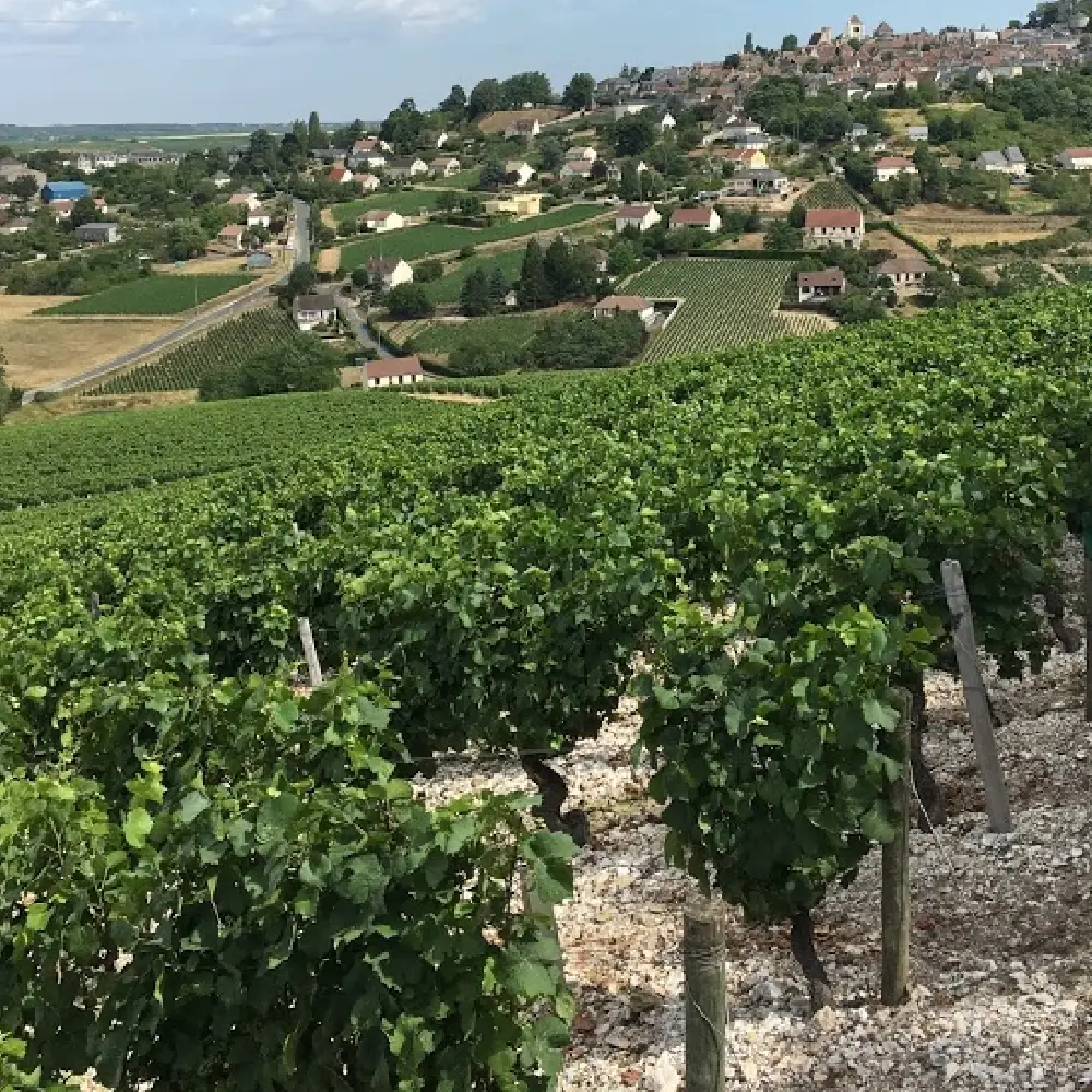 How is chablis made?