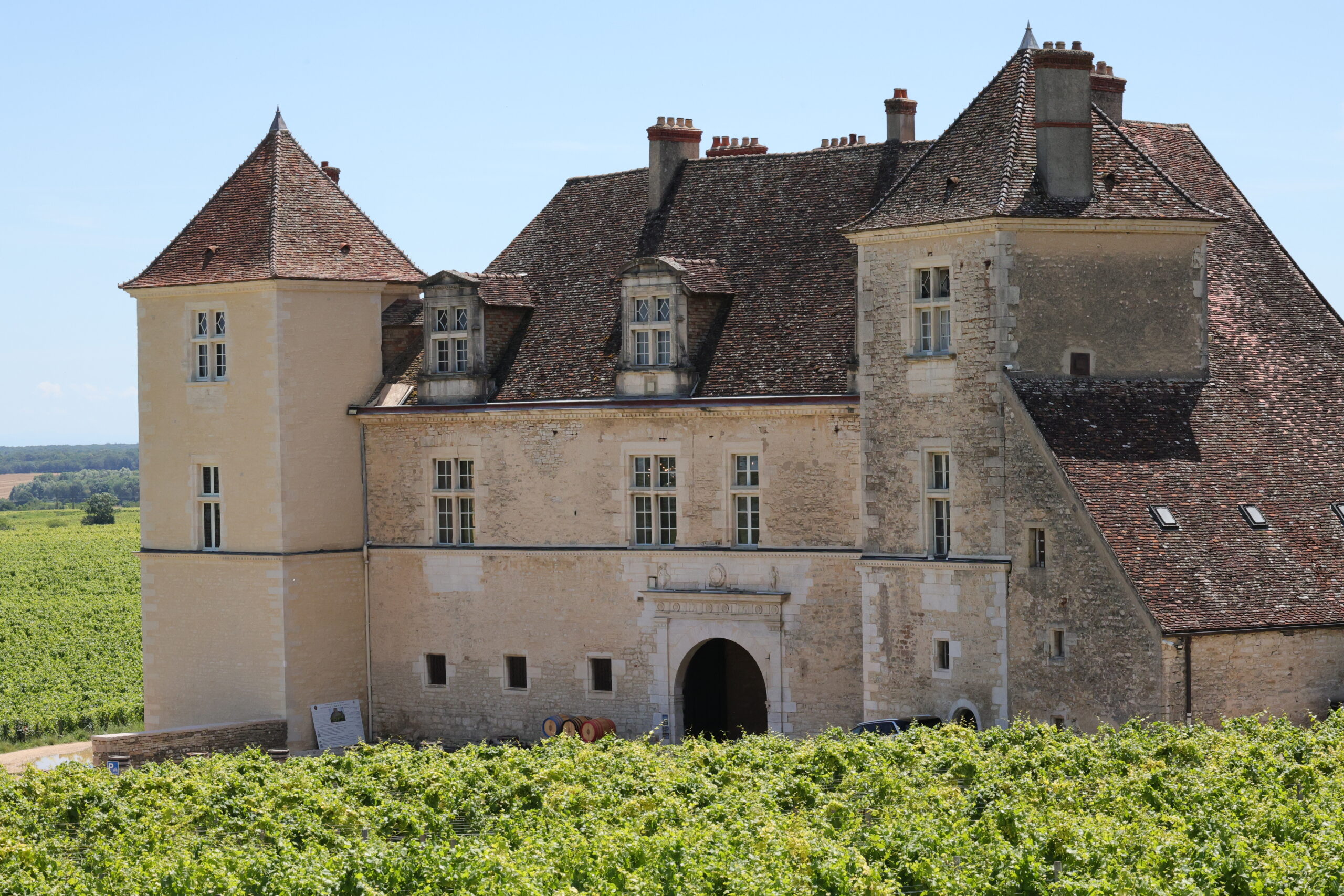 Clos de Vougeot Vineyard