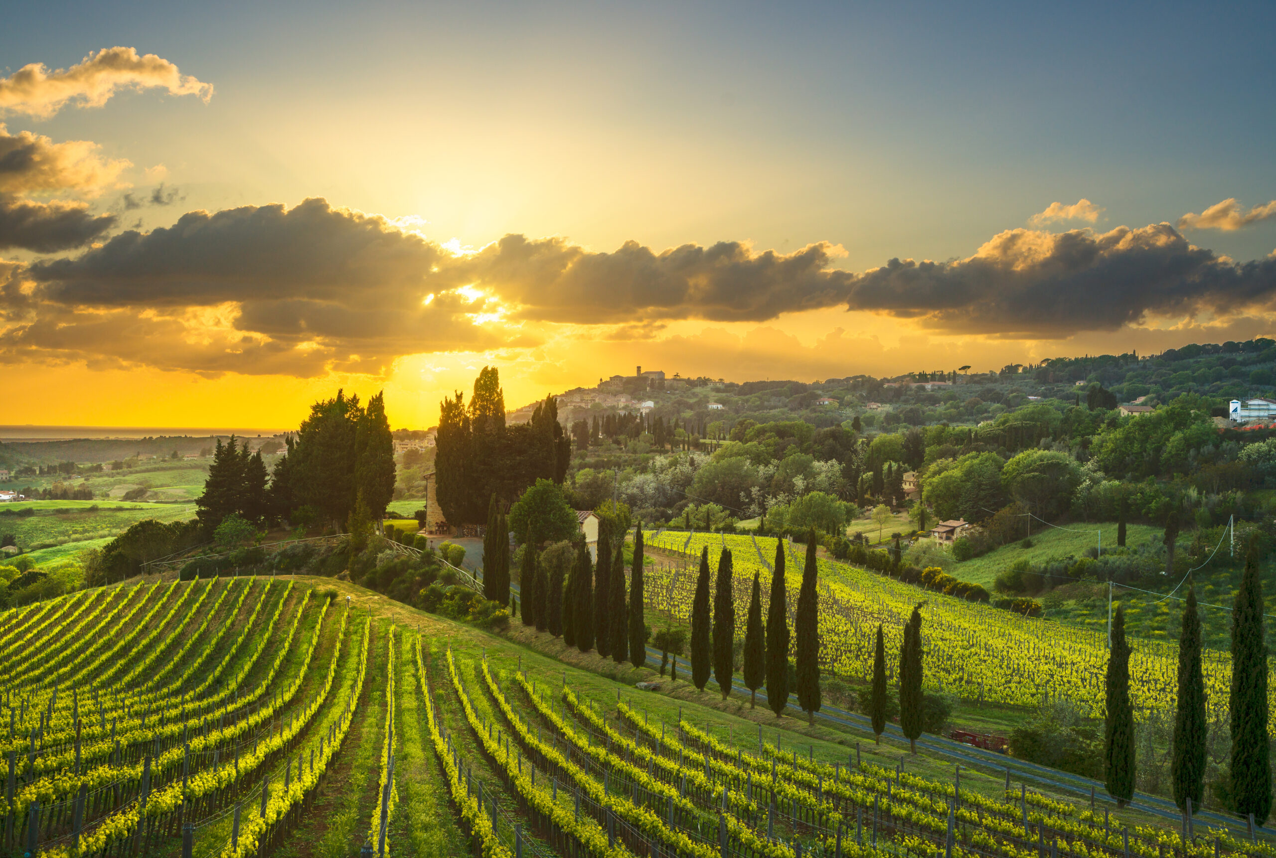 Tuscany, Chianti Classico, and Super Tuscans